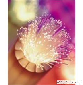fiber